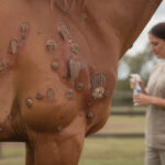 découvrez la dermatophilose chez le cheval, ses symptômes caractéristiques et les traitements efficaces pour protéger la santé de votre équidé.